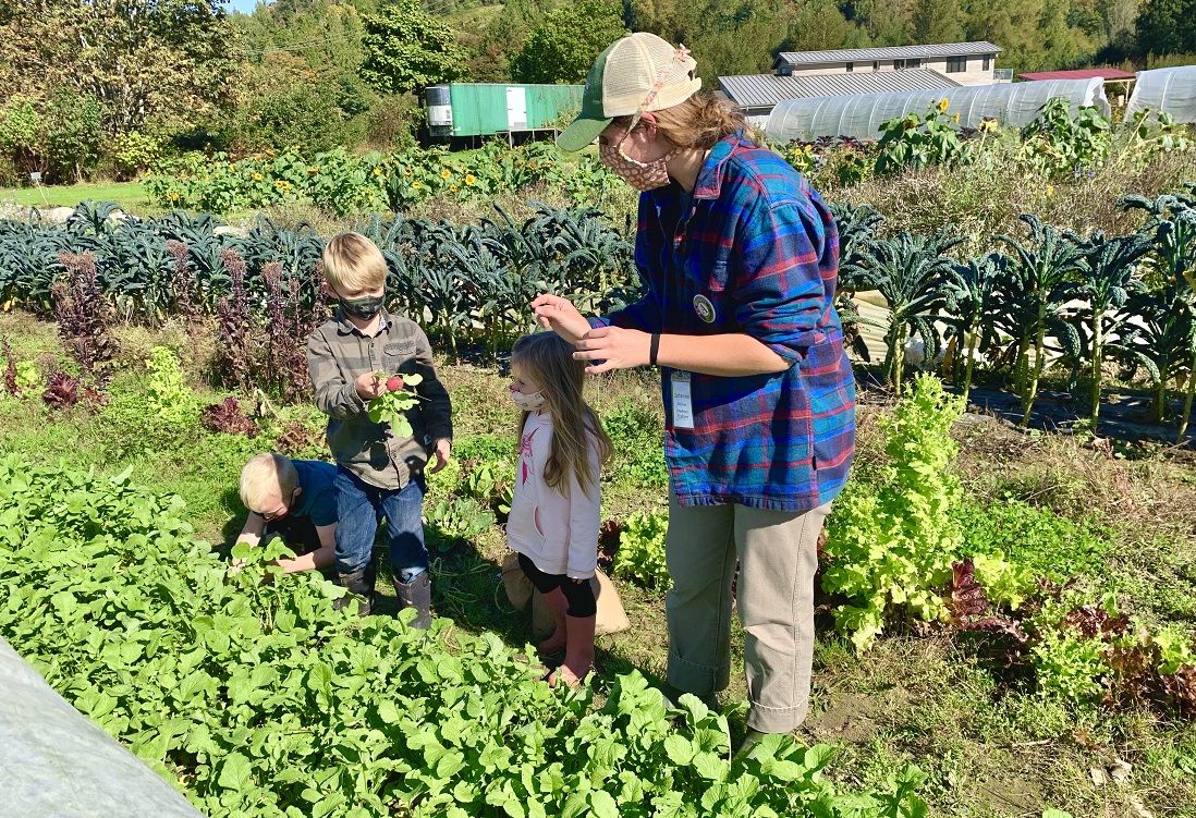 Oxbow Farm Offers Fun and Engaging Private Field Trips for SeattleArea